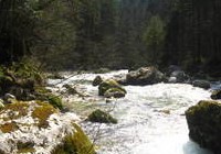 img_1302.jpg