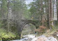img_1367.jpg