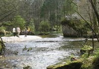 img_1379.jpg