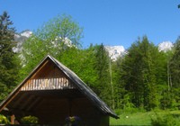 img_1973.jpg