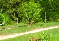 img_1974.jpg