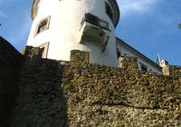 img_2239.jpg